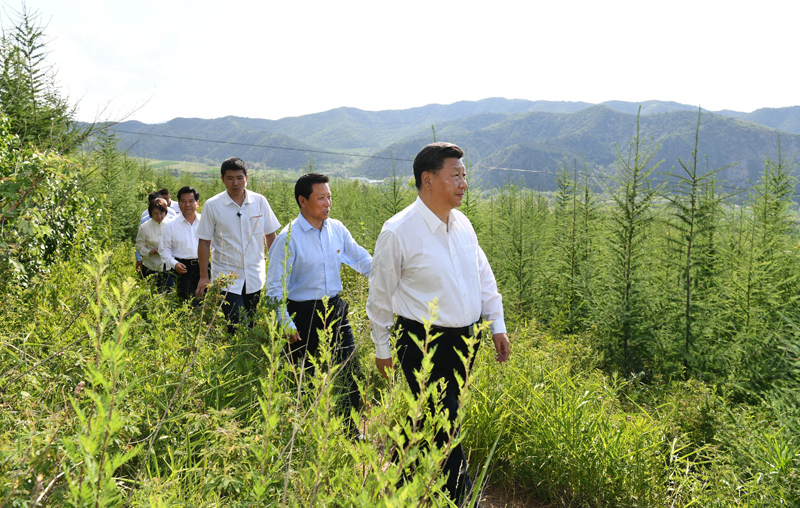 7月15日至16日，中共中央總書記、國家主席、中央軍委主席習(xí)近平在內(nèi)蒙古考察并指導(dǎo)開展“不忘初心、牢記使命”主題教育。這是15日下午，習(xí)近平在赤峰市喀喇沁旗馬鞍山林場(chǎng)林區(qū)，沿著崎嶇的護(hù)林小道察看林木長勢(shì)。